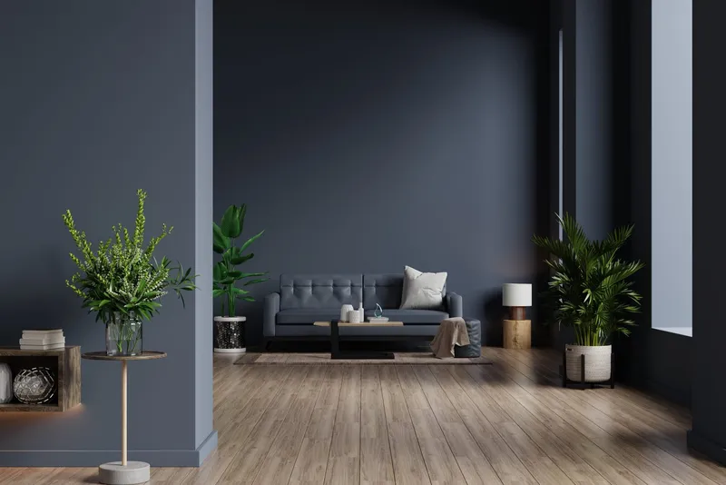 Feature wall & lounge